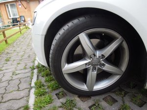 DSCN1407.jpg