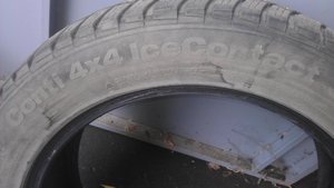 IMAG0239.jpg