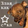 злаякаксуко.gif