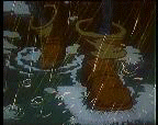 shagi.gif