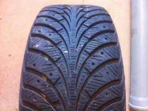 IMG_0223[1].jpg