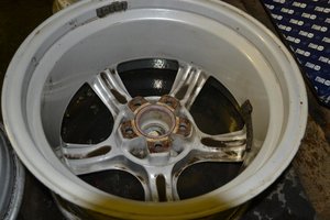 DSC_5597.jpg