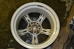 DSC_5599.jpg