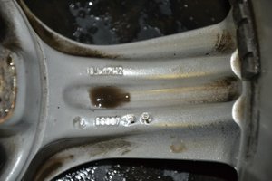 DSC_5607.jpg