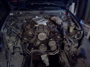 IMG006.jpg