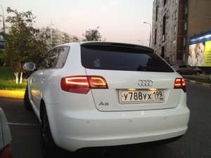 IMG_1365.jpg
