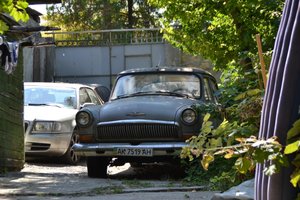 DSC_0901.jpg