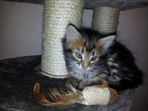 20120921_231852.jpg
