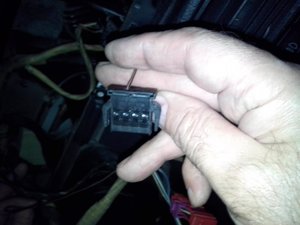 IMG_20120927_201721.jpg