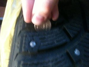 IMG_6584.jpg