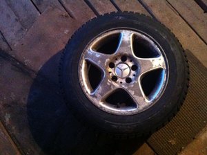 IMG_0017.jpg