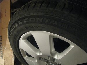 IMG_9695.jpg
