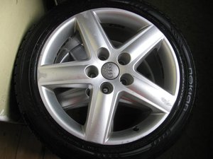 IMG_7131.JPG