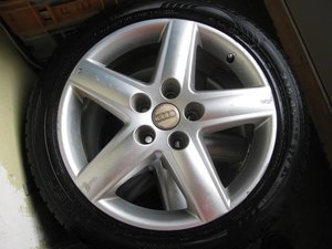 IMG_7132.JPG