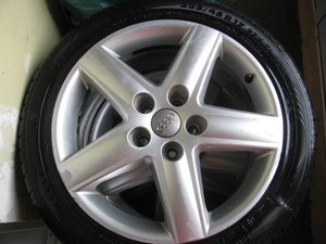 IMG_7133.JPG