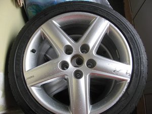 IMG_7134.JPG