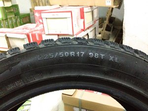 IMG_2881.jpg