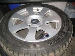 IMG_3125.JPG