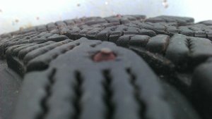 IMAG0647.jpg