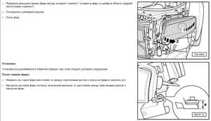felsa2.jpg