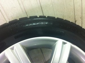 IMG_0410.jpg