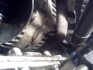 IMG079.jpg
