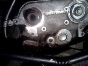 IMG081.jpg