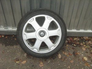 IMG_1450.jpg
