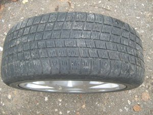 IMG_1451.jpg