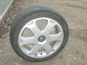 IMG_1453.jpg