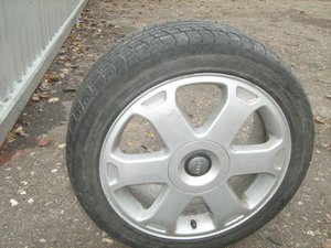 IMG_1454.jpg