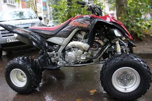IMG_5493.jpg