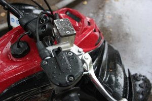 IMG_5494.jpg