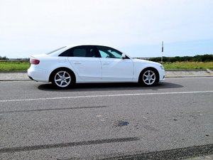 IMG_2639.jpg
