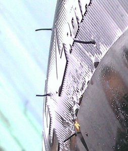 IMAG0661.jpg
