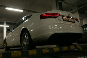 y_213c7282.jpg