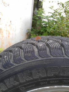 IMAG0080.jpg