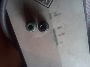 IMG029.jpg