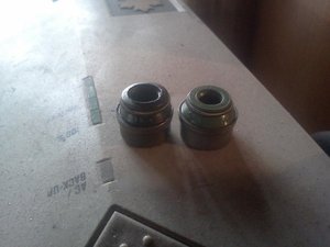 IMG031.jpg