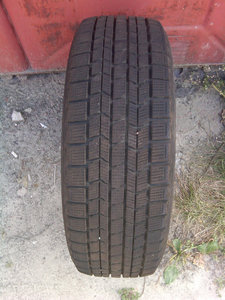 Dunlop Graspic DS3.jpg