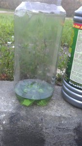 IMAG0023.jpg