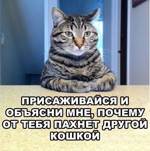 x_48b1aa56.jpg