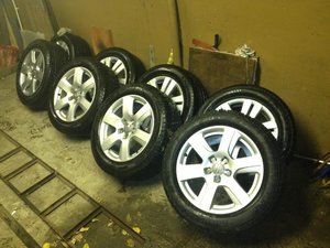 IMG_0384.jpg