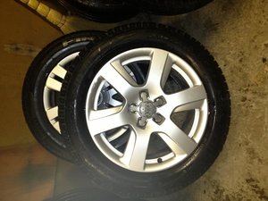 IMG_0381.jpg
