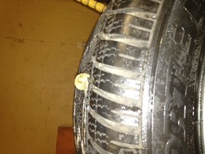 IMG_0385.jpg
