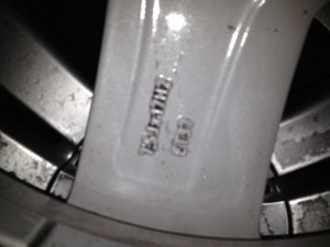 IMG_0391.jpg