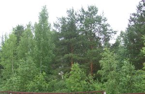 S7302951.JPG