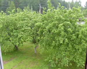 S7302970.JPG