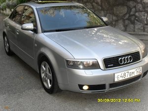 SDC11531.jpg