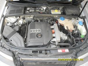 SDC11535.jpg